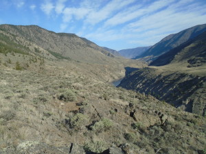 April Fraser Looking North
