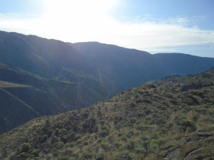 April Fraser Looking South