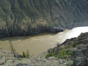 AprilClaim2 Canyon