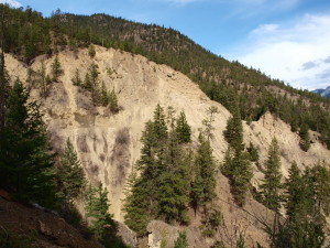 West Spence Rd