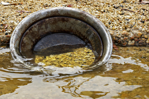 gold-panning
