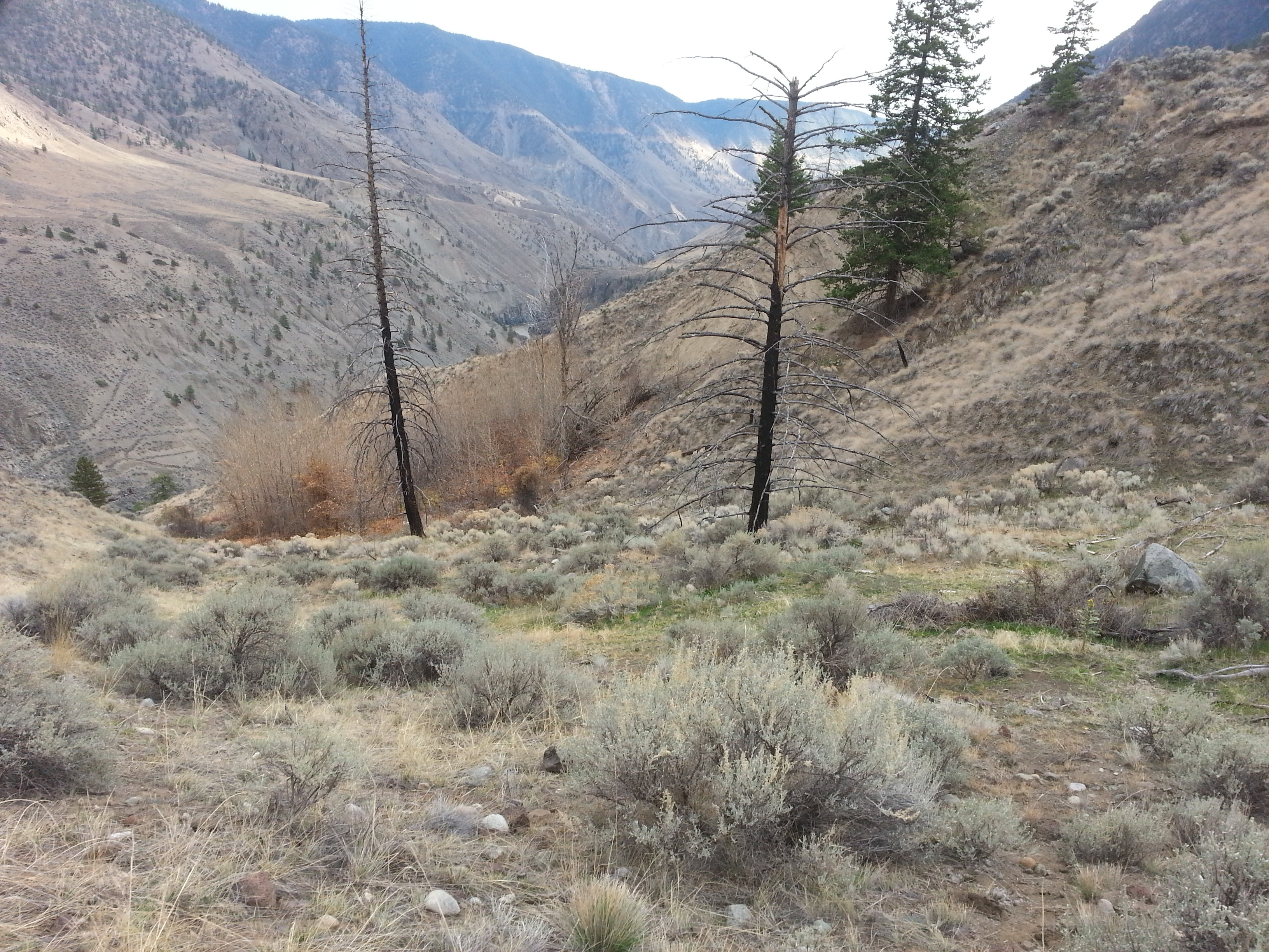 CreekRavine