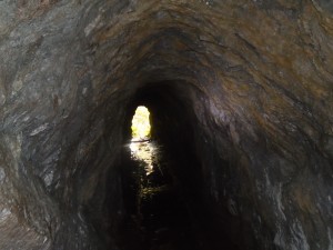 DSC01418