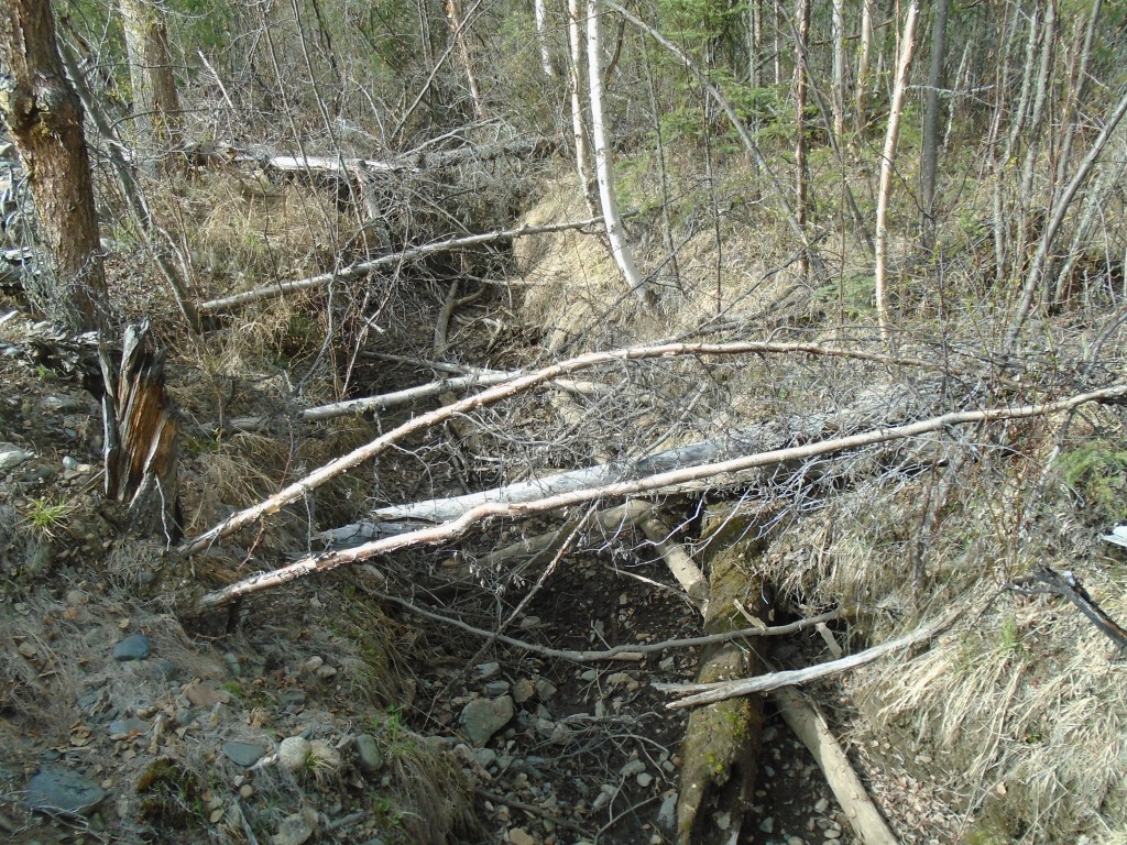 Old Timer's Trenches