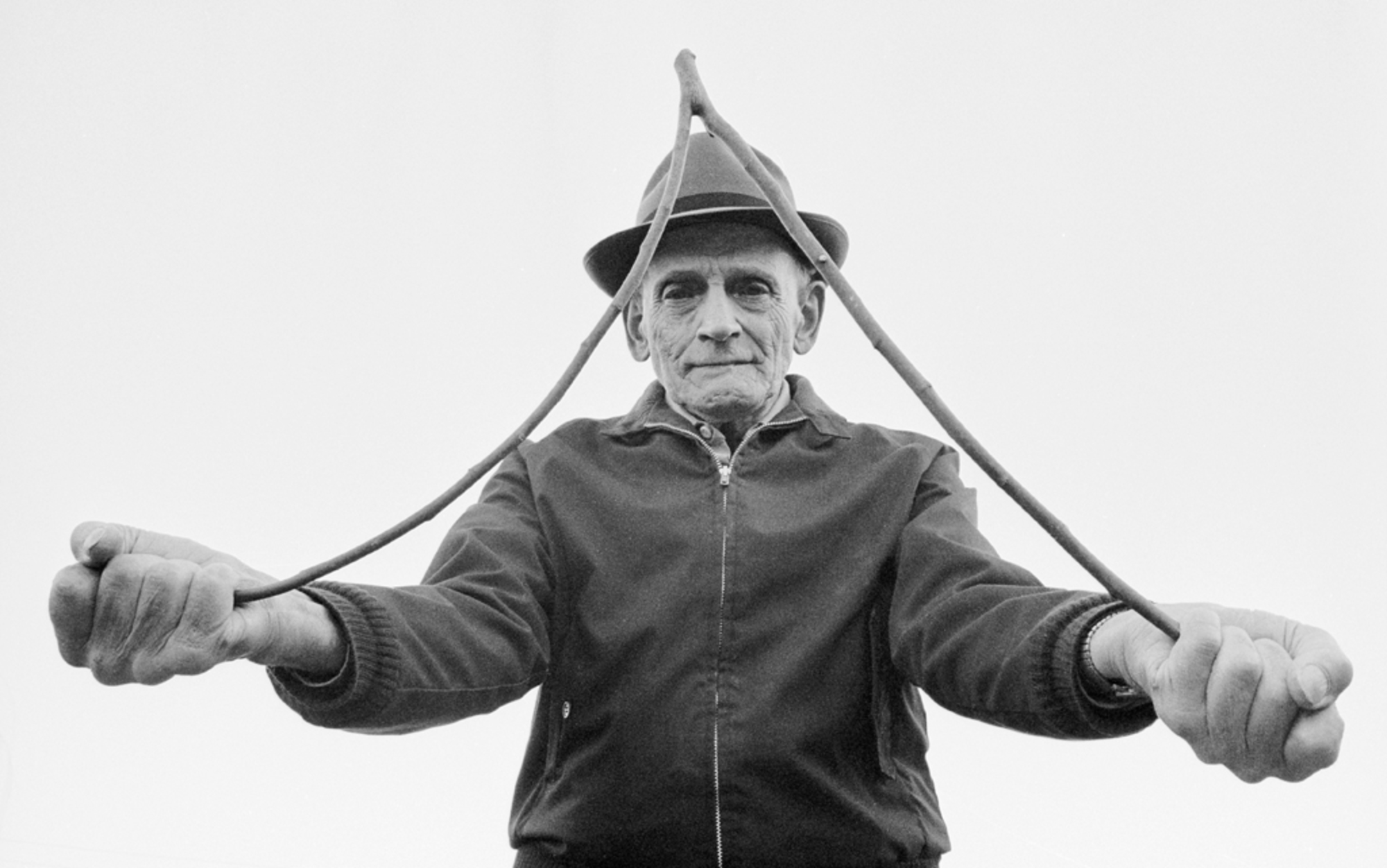 dowsing branch