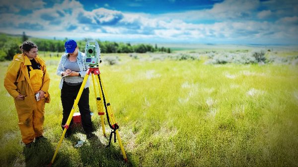 Professional archaeologist completing project review